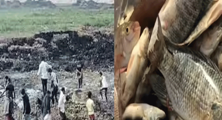 ఉప్పల్ నల్ల చెరువులో చేపలే చేపలు.. పట్టుకునేందుకు ఎగబడ్డ జనాలు