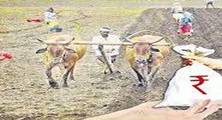 సన్నాలకు బోనస్ నిధులు విడుదల.. స్థానిక ఎన్నికల వేళ రైతులకు శుభవార్త