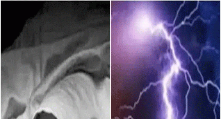 పిడుగులు పడి,,,ఆదిలాబాద్ జిల్లాలో ఆరుగురు మృతి