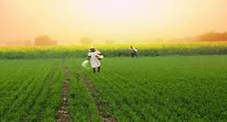 అక్టోబర్ తొలి వారంలో,,,,రైతుల ఖాతాల్లోకి డబ్బు జమ