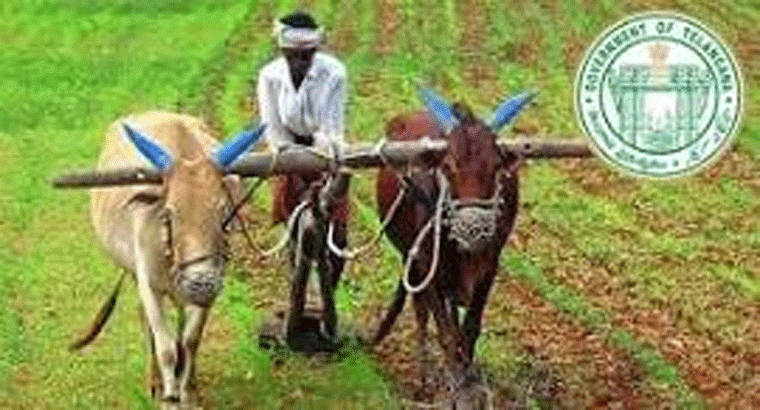 రైతు బీమాకు దరఖాస్తుకు,,, ఆగష్టు 13 చివరి తేదీ