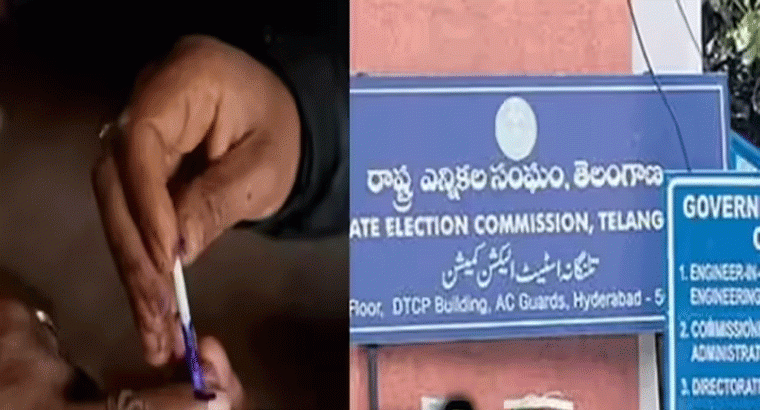 స్థానిక సంస్థల ఎన్నికలపై ఆగస్టు 23న నిర్ణయం