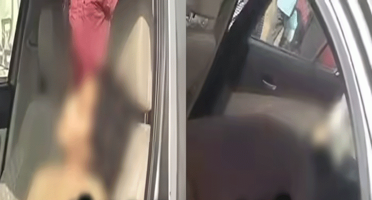 నానమ్మని చూసేందుకు ఊరికి వచ్చి,,,, పిల్లలు శవాలుగా