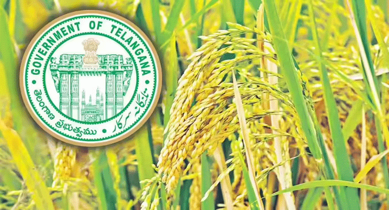 వరి సాగు విస్తీర్ణం, దిగుబడిలో సరికొత్త రికార్డ్,,,, దూసుకెళ్తున్న తెలంగాణ