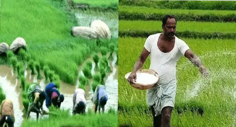 తెలంగాణలో 15 జిల్లాల రైతులకు తీపి కబురు