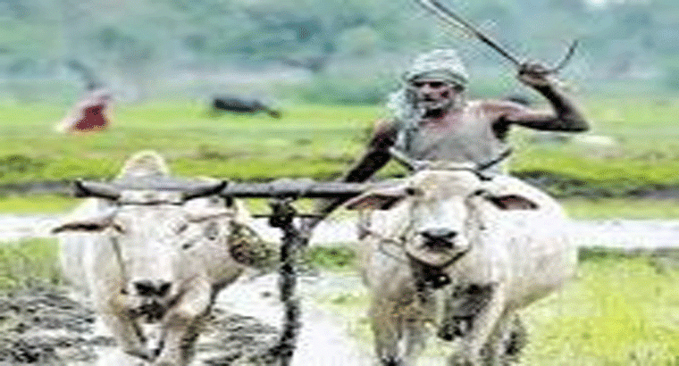 రైతులకు భారీ శుభవార్త.. సమస్యను పరిష్కరించిన మంత్రి తుమ్మల