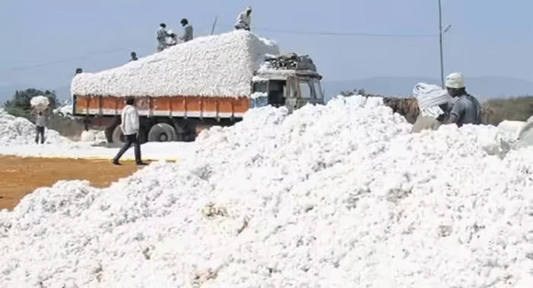 పత్తి రైతులకు తీపి కబురు,,,,ఈ నెలాఖరు సీసీఐ కొనుగోలు కేంద్రాలు