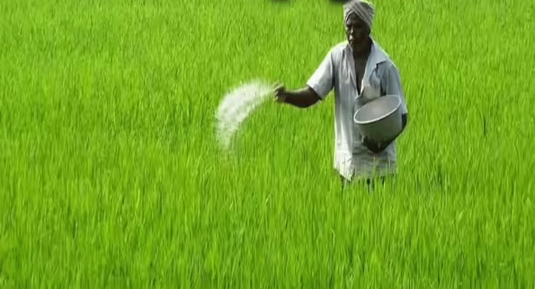 ఎకరాకు 3 బస్తాల యూరియా,,,రేవంత్ సర్కార్ కీలక నిర్ణయం