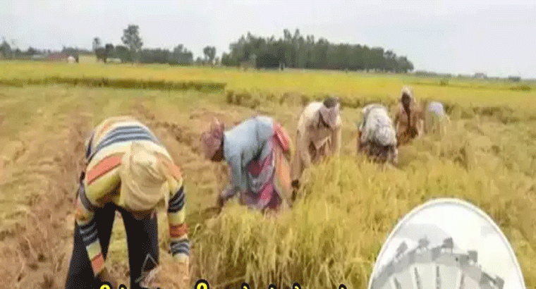 కష్టాల్లో ఉన్నప్పుడే మనవాళ్లు ఎవరో తెలుస్తుంది.... మంత్రి కేటీఆర్