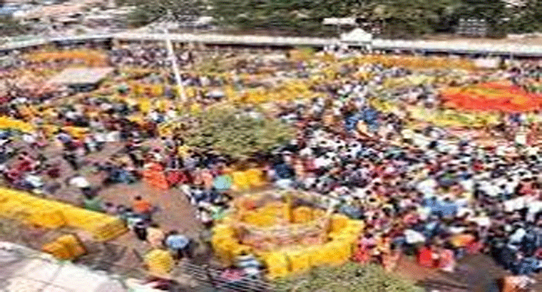 మేడారం మహాజాతర తేదీలు ఖరారు