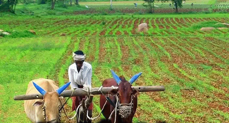 ఎరువులు కొంటే చాలు.. రూ.2 లక్షల వరకు.., అదనంగా రైతు బీమా కూడా