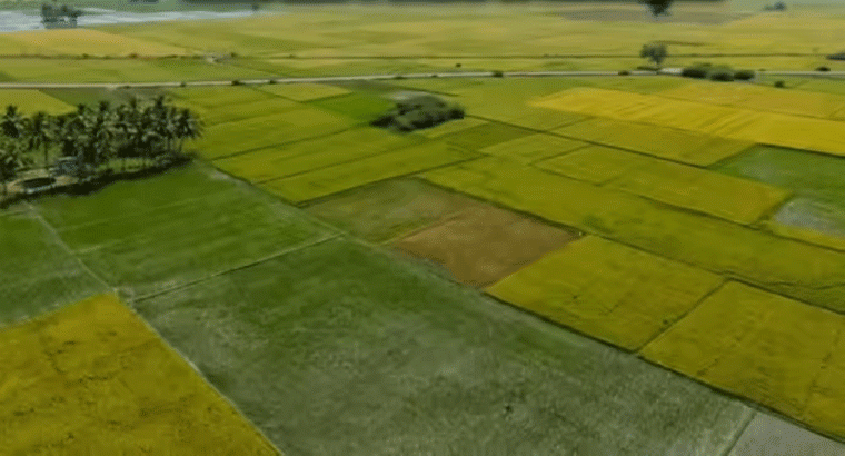 రూ.10 వేలు కడితే చాలు....2 ఎకరాల 10 గుంటల వ్యవసాయ భూమి