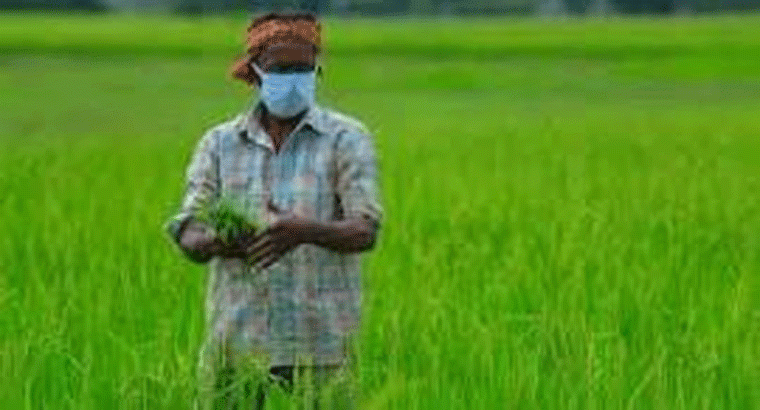 రైతులకు భారీ శుభవార్త.... ఏకంగా 100% రాయితీ