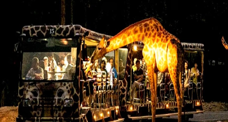 హైదరాబాద్‌ వాసులకు అదిరిపోయే వార్త.. ముచ్చర్లలో త్వరలో 'నైట్ సఫారీ' పార్క్
