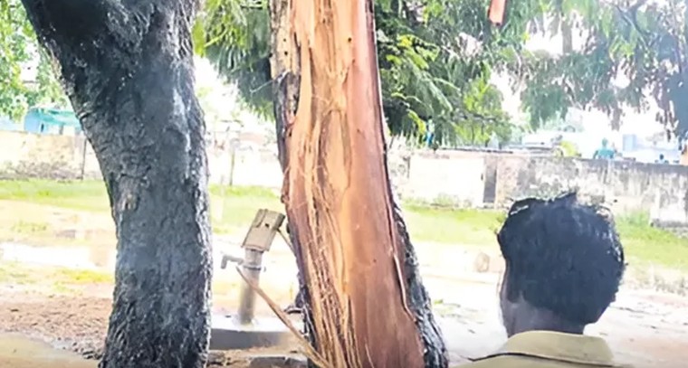స్కూల్ ఆవరణలో బీభత్సం.. పిడుగుపాటుకు నిట్టనిలువునా చీలిపోయిన భారీ వృక్షం!

