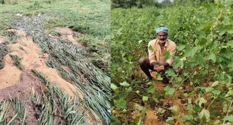 భీకర మొంథా తుఫాను.. అన్నదాతల ఆవేదన.. జలదిగ్బంధంలో వరంగల్

