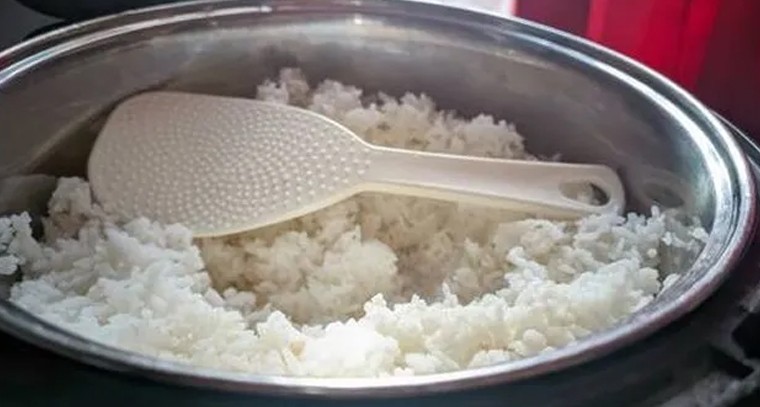 పాలిటెక్నిక్ హాస్టల్‌లో షాకింగ్ ఘటన.. వాచ్మెన్ మద్యం మత్తులో అన్నం పాత్రలో..

