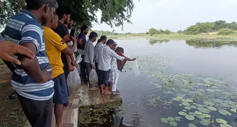 చేపల ఉత్పత్తి పెంపునకు కదలిక.. ఖమ్మంలో పంపిణీ కేంద్రాన్ని పరిశీలించిన కలెక్టర్ డా. శ్రీజ

