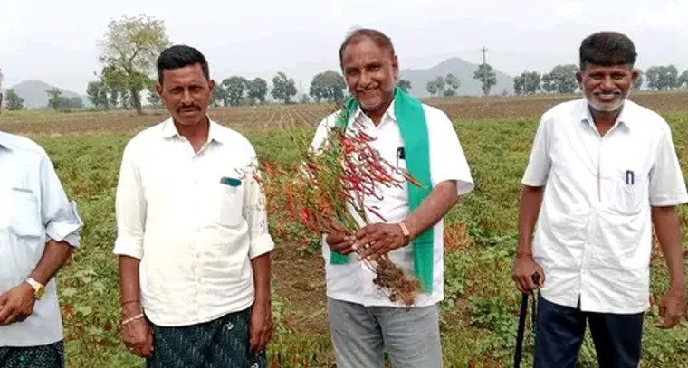 మిర్చి రైతుల వేదన.. వైరస్‌తో నాశనమైన పంటలకు వెంటనే పరిహారం అంటూ రైతు సంఘం మీడియా ముందుకు!


