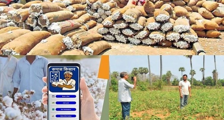 ఒక్క పత్తి గింజ కోసం మూడు యాప్‌లు తిరగాలా?

