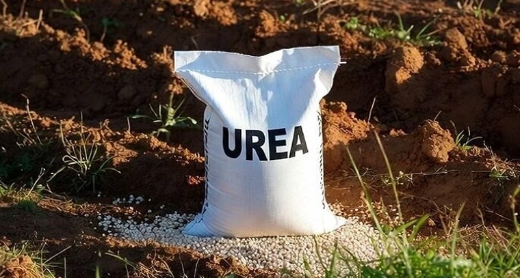 స్మార్ట్ ఫోన్లు లేక సాగు కష్టాలు.. దళారుల చేతిలో చిక్కుతున్న తెలంగాణ రైతులు!

