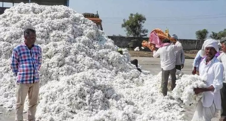 పత్తి కొనుగోళ్ల సంక్షోభం.. రైతుల ఆందోళన, రాష్ట్రం అప్రమత్తం

