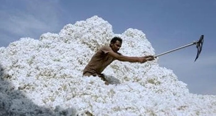 పత్తి సంక్షోభం తొలగిందా? మంత్రి తుమ్మల హామీతో జిన్నింగ్ మిల్లర్లు సంతృప్తి!

