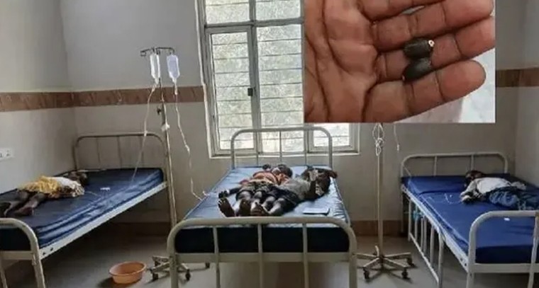 ఖిల్లా గణపురంలో విషాదం.. అడవి ఆముదం గింజలు తిని తొమ్మిది మంది చిన్నారులకు అస్వస్థత


