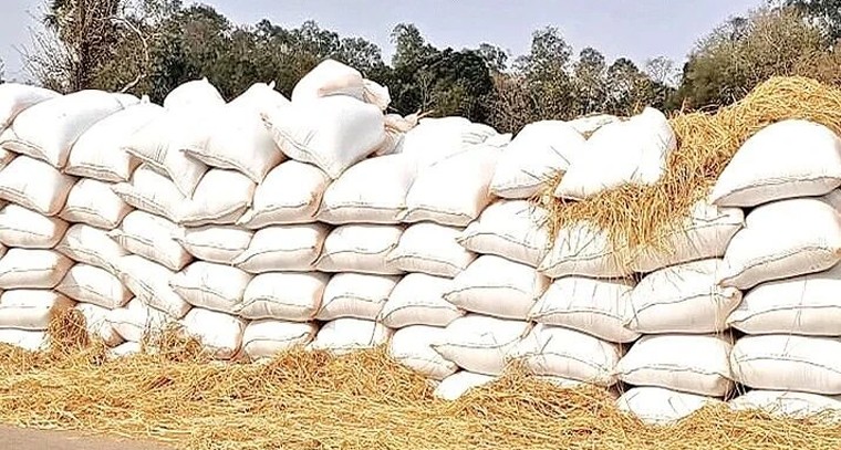 బిహార్ ఎన్నికలు.. తెలంగాణ రైతులకు కొత్త సవాళ్లు

