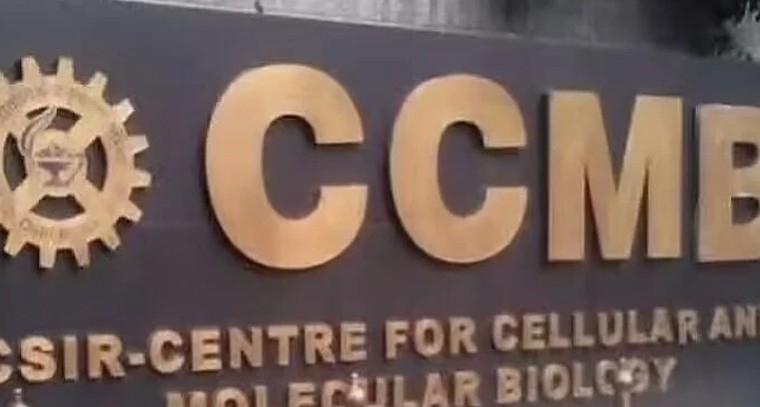 హైదరాబాద్‌ సీసీఎంబీలో ప్రాజెక్ట్ స్టాఫ్ ఉద్యోగాలు.. దరఖాస్తుకు డిసెంబర్ 29 చివరి తేదీ!

