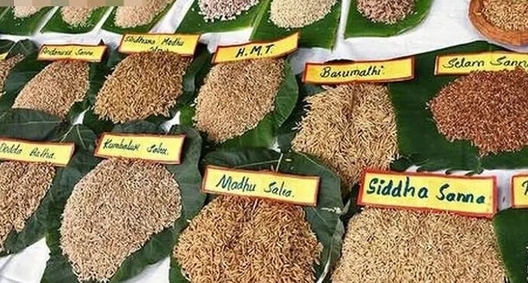 అన్మాస్పల్లి వేదికగా ‘తెలంగాణ రెండో దేశీ విత్తన పండుగ’.. ఫిబ్రవరి 6 నుంచి మూడు రోజుల పాటు వేడుక

