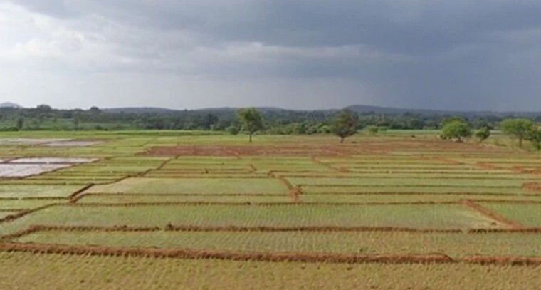 సాదాబైనామా దరఖాస్తుదారులకు ఊరట.. అఫిడవిట్ నిబంధన తొలగింపు దిశగా ప్రభుత్వం అడుగులు!

