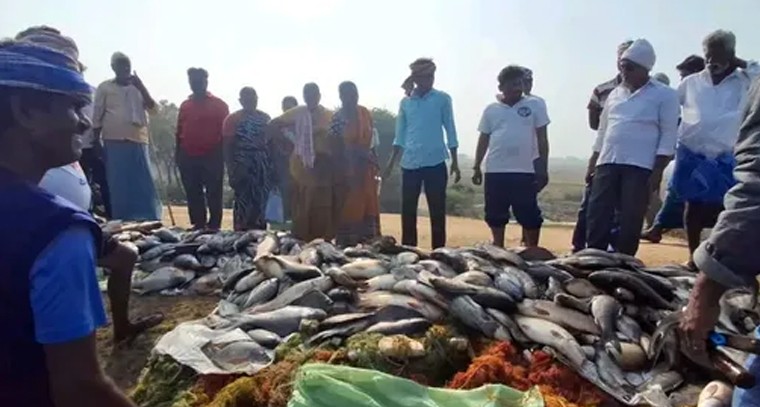 బోనకల్ మండలంలో చేపల వేటగాళ్ల హల్చల్: పట్టుబడ్డ వలలు, పరారైన నిందితులు

