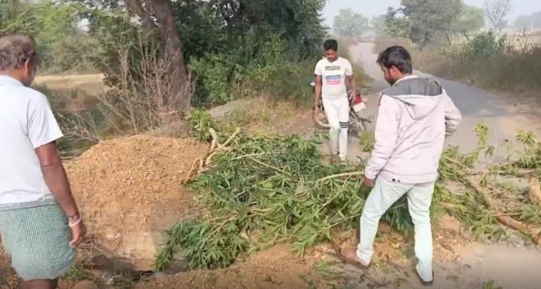ప్రమాదంలో పడవ వంతెన.. నందగోకుల్-ఇస్సానగర్‌ను కలిపే సరిహద్దు బ్రిడ్జి కూలిపోయే అంచున!

