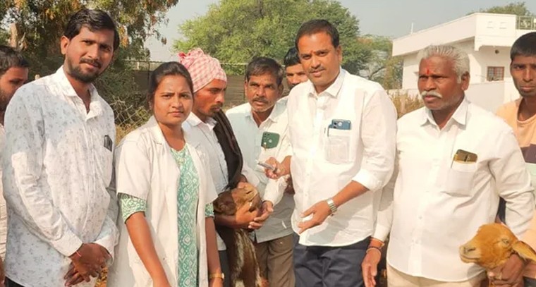 డాకూర్ గ్రామంలో గొర్రెలకు నట్టల నివారణ మందుల పంపిణీ

