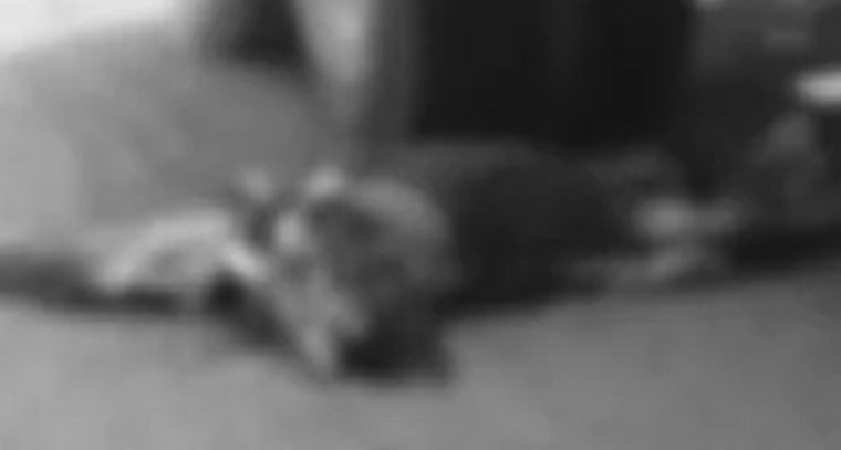 ఘోర రోడ్డు ప్రమాదం.. వ్యక్తి స్పాట్ డెడ్