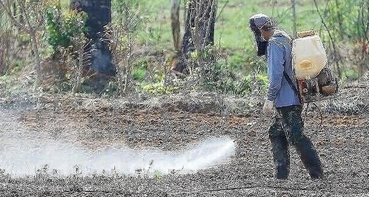 పారాక్వాట్ విక్రయాలపై సర్కార్ ఉక్కుపాదం.. ఇకపై ఏవో ప్రిస్క్రిప్షన్ ఉంటేనే గడ్డి మందు

