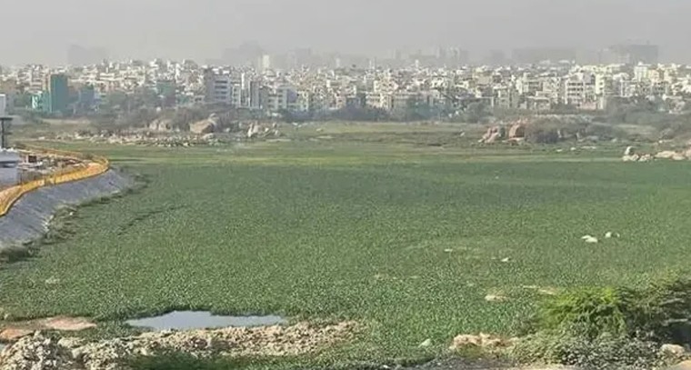 కామునిచెరువులో డ్రోన్ల ప్రయోగం అట్టర్ ఫ్లాప్.. గుర్రపుడెక్క పాకి.. నిధులు వృథా అయి

