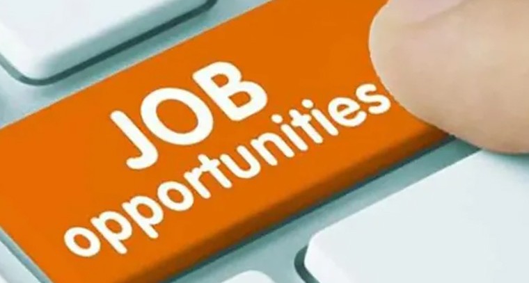 ఐబీపీఎస్‌ నుంచి 5,208 బ్యాంక్‌ ఉద్యోగాలు.. జూలై 1 నుంచి దరఖాస్తులు ప్రారంభం

