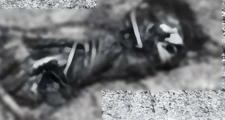 కల్వకుర్తిలో విషాదం.. మోక్షిత మృతదేహం లభ్యం తండ్రే ఘాతుకానికి పాల్పడ్డాడా?

