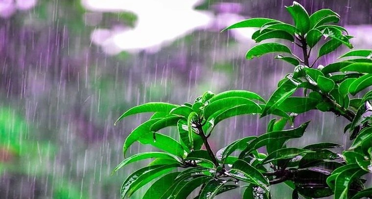 తెలంగాణకు వాతావరణ హెచ్చరిక.. మంటల తర్వాతే జల్లులు

