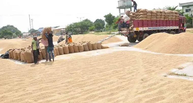 యాదాద్రి జిల్లాలో వడ్ల కొనుగోలు మోసం.. రూ.4.64 లక్షల అక్రమ లావాదేవీలు బయటపడ్డాయి

