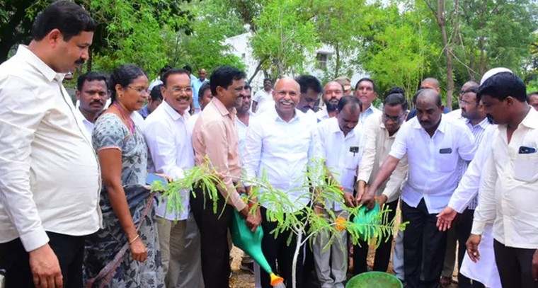నల్గొండలో హరితహారం.. పర్యావరణ పరిరక్షణలో అందరి భాగస్వామ్యం

