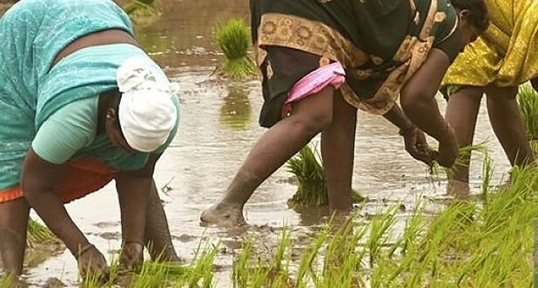 బీఆర్ఎస్ శ్రేణులకు కేసీఆర్ పిలుపు.. ఉప ఎన్నికలకు సిద్ధం కండి

