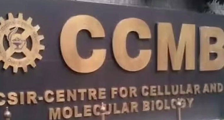 హైదరాబాద్ CCMBలో ఉద్యోగాల జాతర.. ప్రాజెక్ట్ సైంటిస్ట్ పోస్టులకు అప్లై చేసుకోండి

