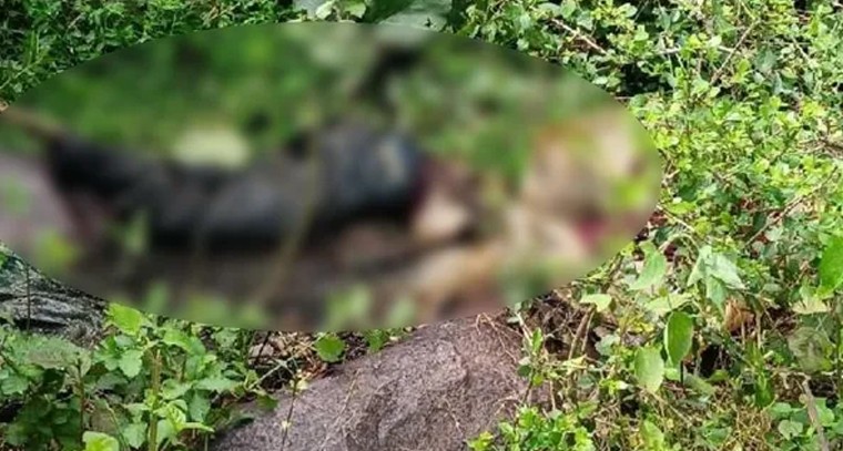 నిజామాబాద్‌లో దారుణం.. సంచిలో గుర్తుతెలియని మృతదేహం

