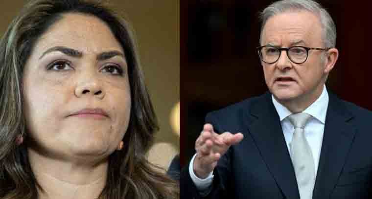 ఆస్ట్రేలియా సెనెటర్‌పై ప్రధాని ఆంథోనీ ఆల్బనీస్ ఆగ్రహం 
