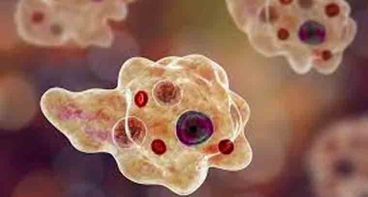 బ్రెయిన్ డెడ్ తో పాఠశాలలోనే పడిపోయిన విద్యార్థి 
