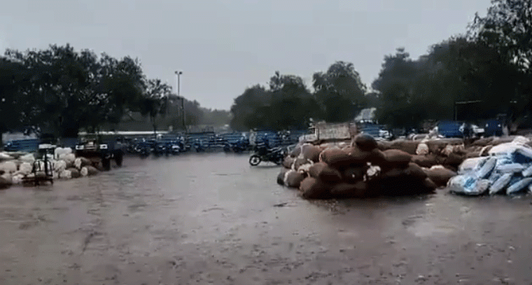 అకాల వర్షం.. తడిసిన పత్తి మొక్కజొన్న