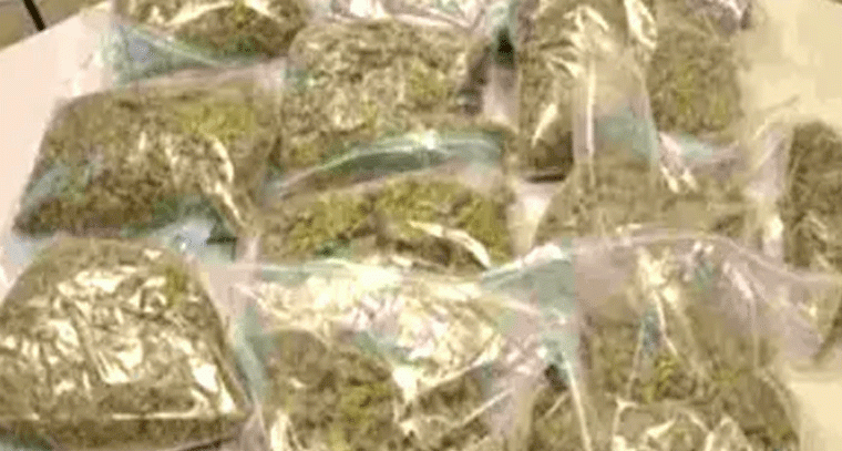 ఆర్టీసీ బస్సులో తరలిస్తున్న గంజాయి స్వాధీనం